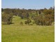 388 Quarry Road, Tenterfield NSW 2372