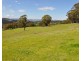 388 Quarry Road, Tenterfield NSW 2372