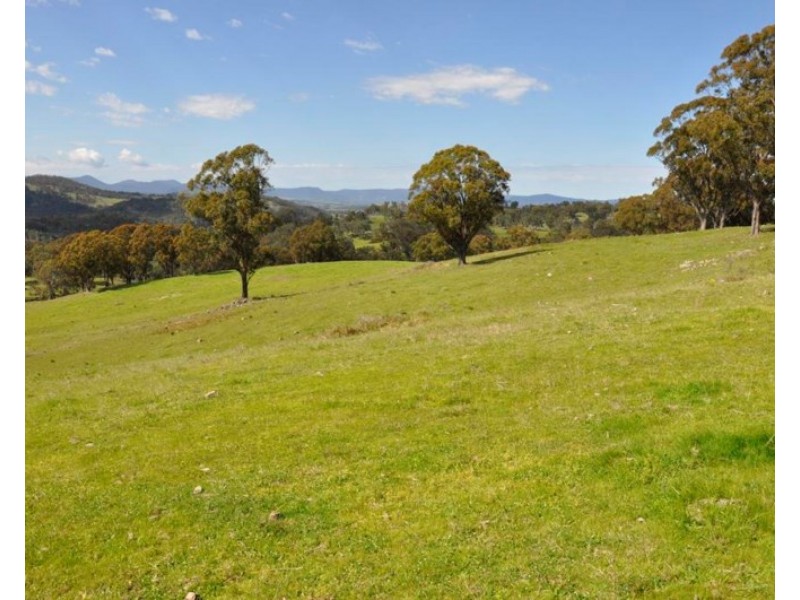 388 Quarry Road, Tenterfield NSW 2372