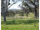 388 Quarry Road, Tenterfield NSW 2372