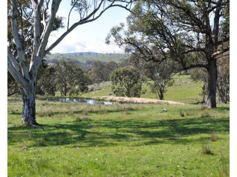 388 Quarry Road, Tenterfield NSW 2372