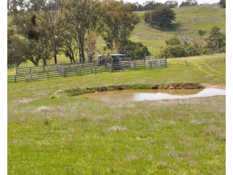 388 Quarry Road, Tenterfield NSW 2372