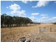 Lot 4 Bryans Gap Road, Tenterfield NSW 2372