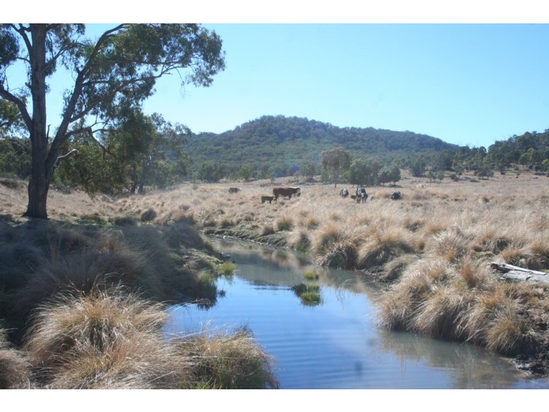 Tenterfield NSW 2372