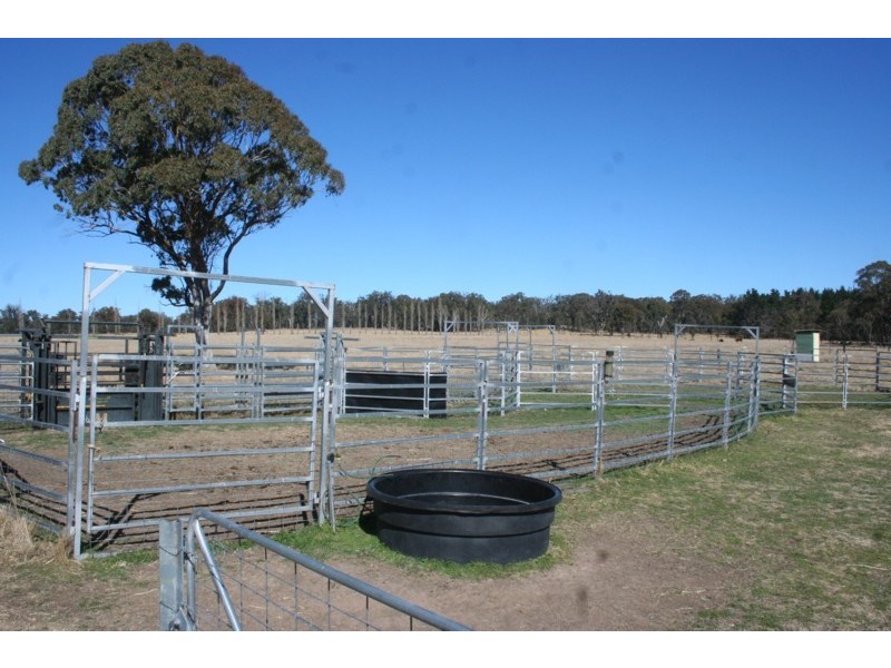 Tenterfield NSW 2372