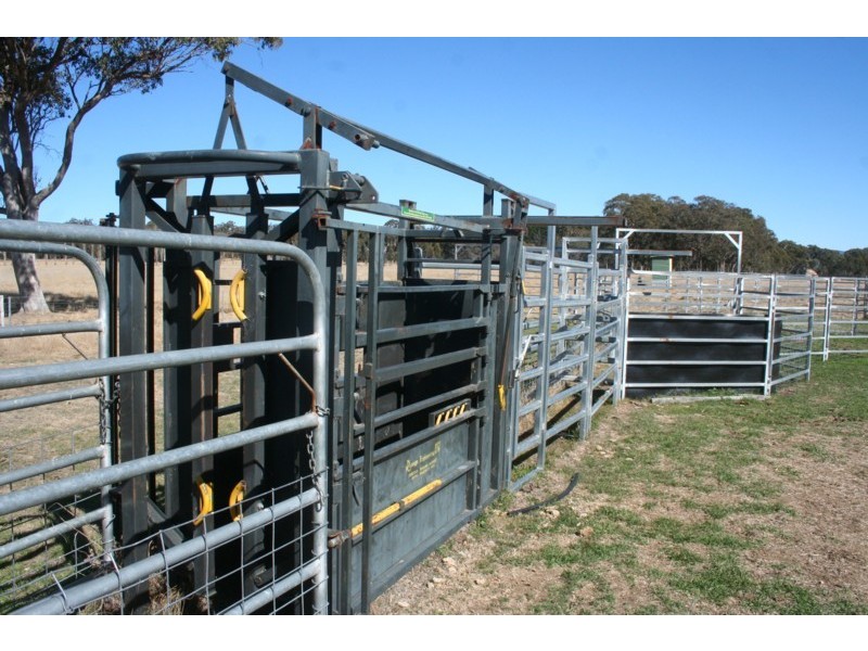 Tenterfield NSW 2372