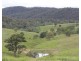 1091 Timbarra Road, Tenterfield NSW 2372