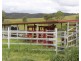 1091 Timbarra Road, Tenterfield NSW 2372