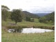 1091 Timbarra Road, Tenterfield NSW 2372