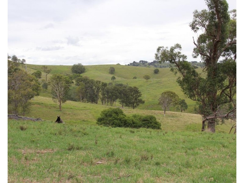 1091 Timbarra Road, Tenterfield NSW 2372