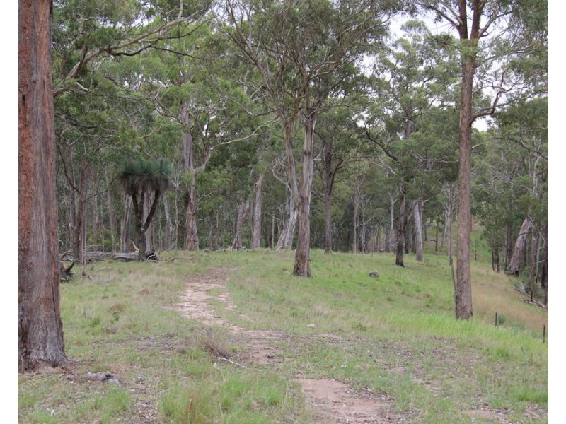 1091 Timbarra Road, Tenterfield NSW 2372