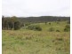 1091 Timbarra Road, Tenterfield NSW 2372