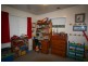 Tenterfield NSW 2372