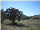 Lot 2 Mole River Road, Tenterfield NSW 2372