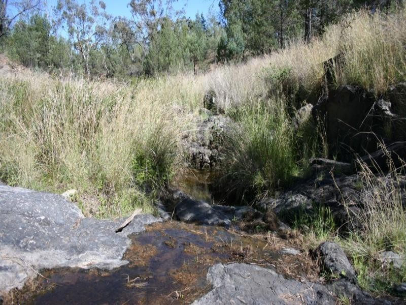 Lot 2 Mole River Road, Tenterfield NSW 2372