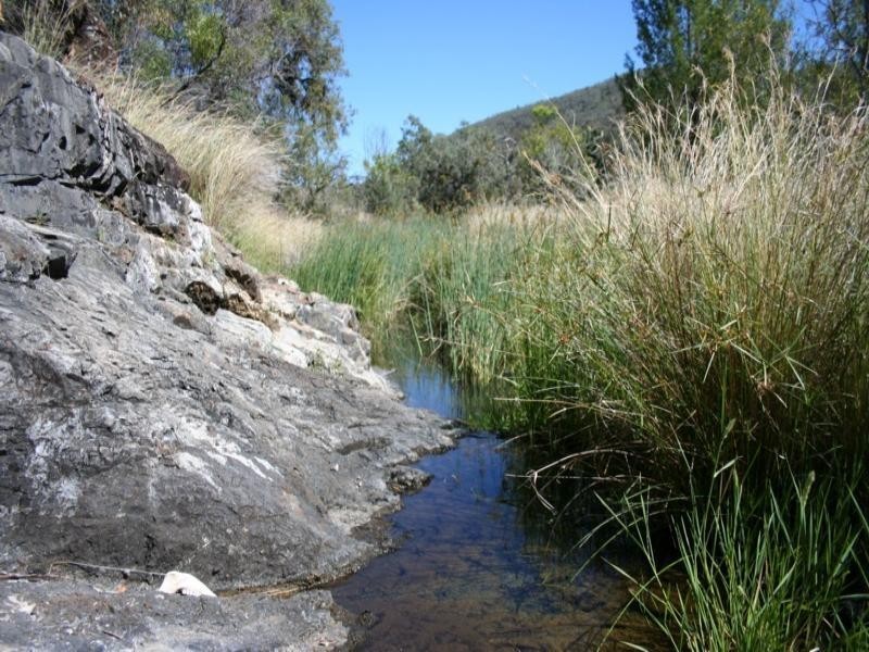Lot 2 Mole River Road, Tenterfield NSW 2372