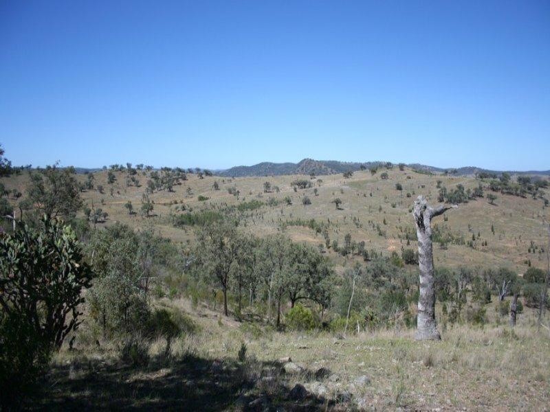 Lot 2 Mole River Road, Tenterfield NSW 2372