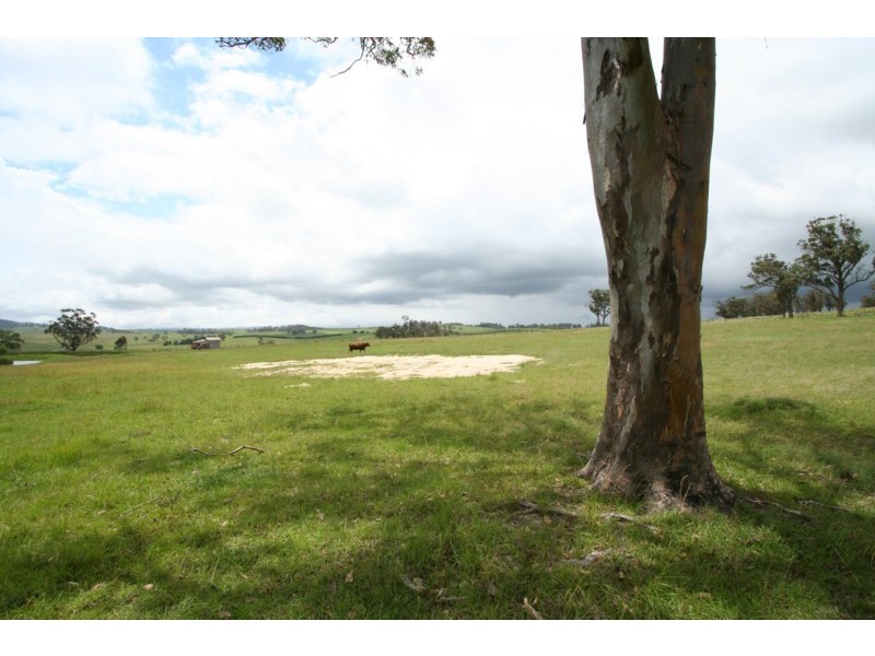 Tenterfield NSW 2372