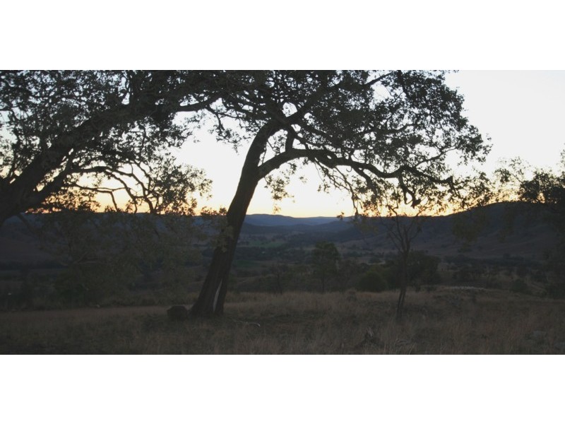 Tenterfield NSW 2372