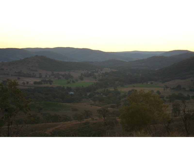 Tenterfield NSW 2372