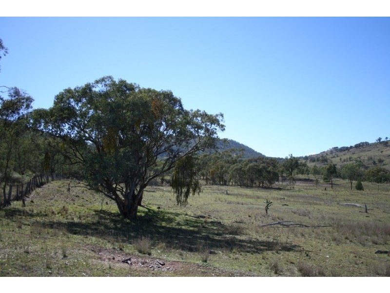 Tenterfield NSW 2372