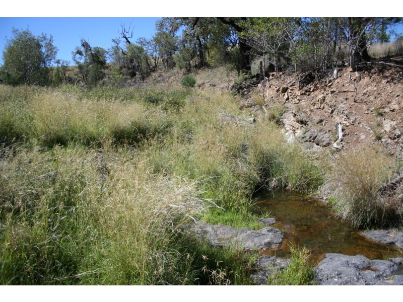 Tenterfield NSW 2372