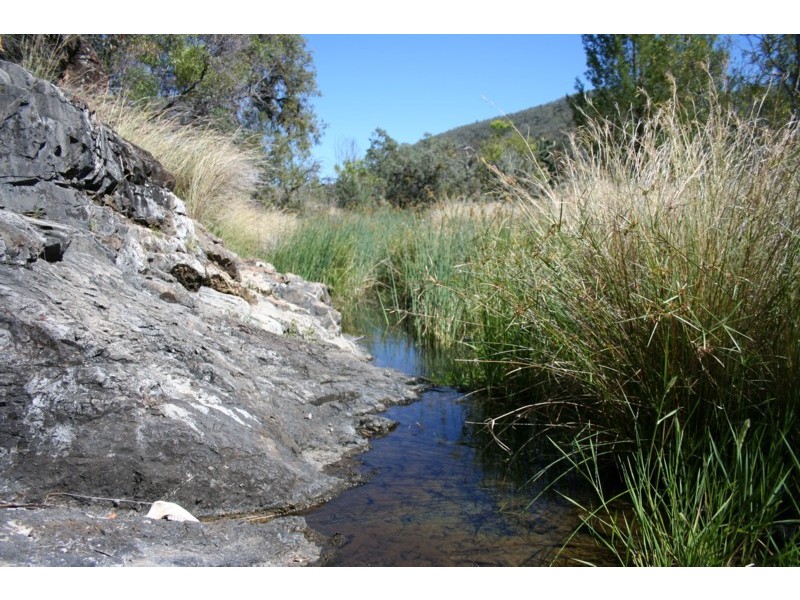 Tenterfield NSW 2372