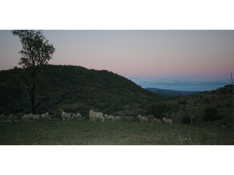 Tenterfield NSW 2372