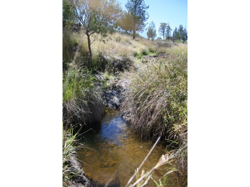 Tenterfield NSW 2372