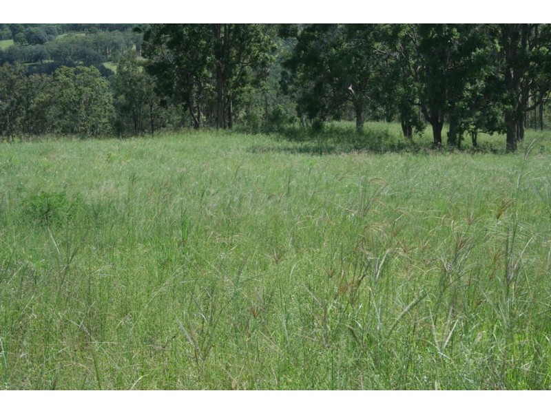 Tenterfield NSW 2372