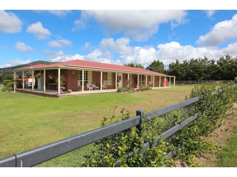 155 Mt Mackenzie Road, Tenterfield NSW 2372