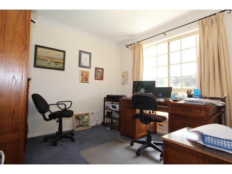 155 Mt Mackenzie Road, Tenterfield NSW 2372