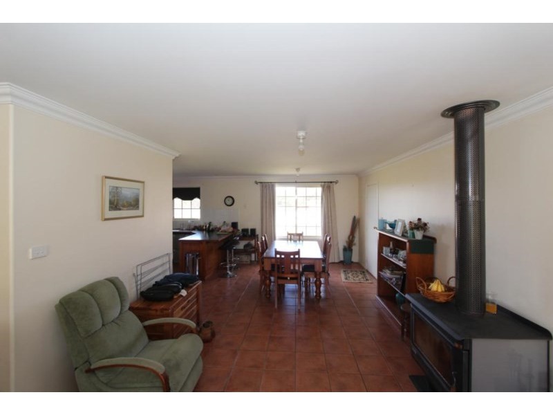 155 Mt Mackenzie Road, Tenterfield NSW 2372