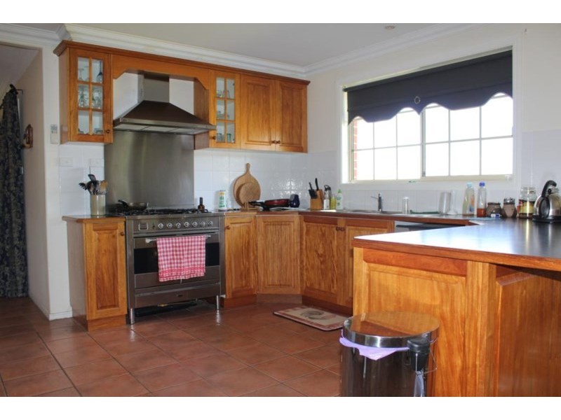 155 Mt Mackenzie Road, Tenterfield NSW 2372