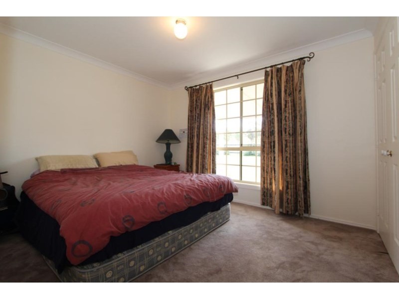 155 Mt Mackenzie Road, Tenterfield NSW 2372