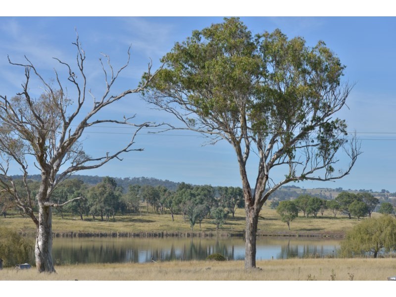 8866 New England Highway, Tenterfield NSW 2372