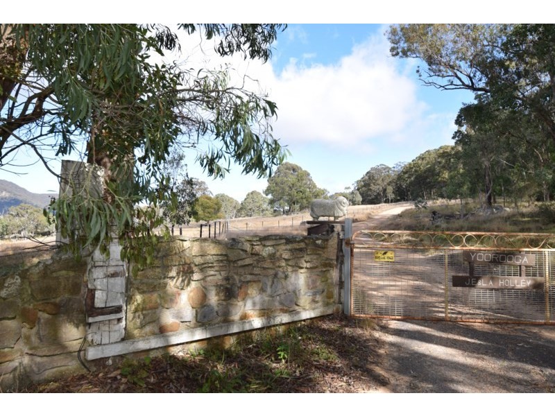 65 Holleys Road, Tenterfield NSW 2372