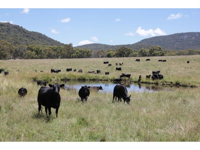 76 Heatherdene Road, Deepwater NSW 2371