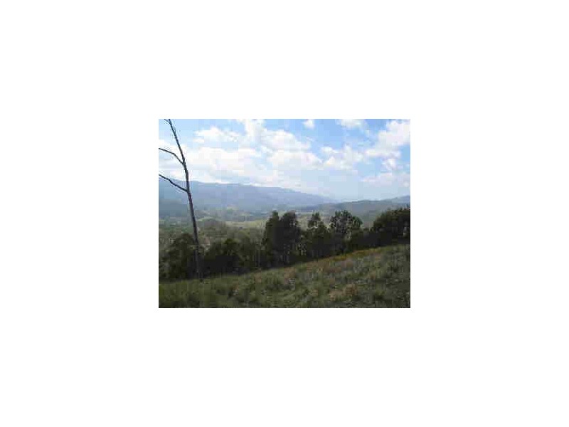 Tenterfield NSW 2372