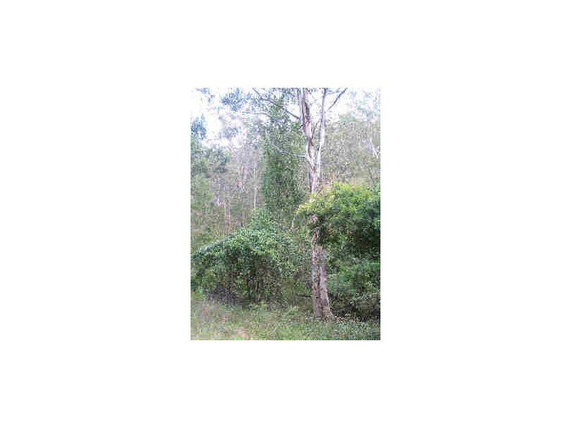 Tenterfield NSW 2372