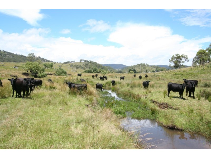 Tenterfield NSW 2372