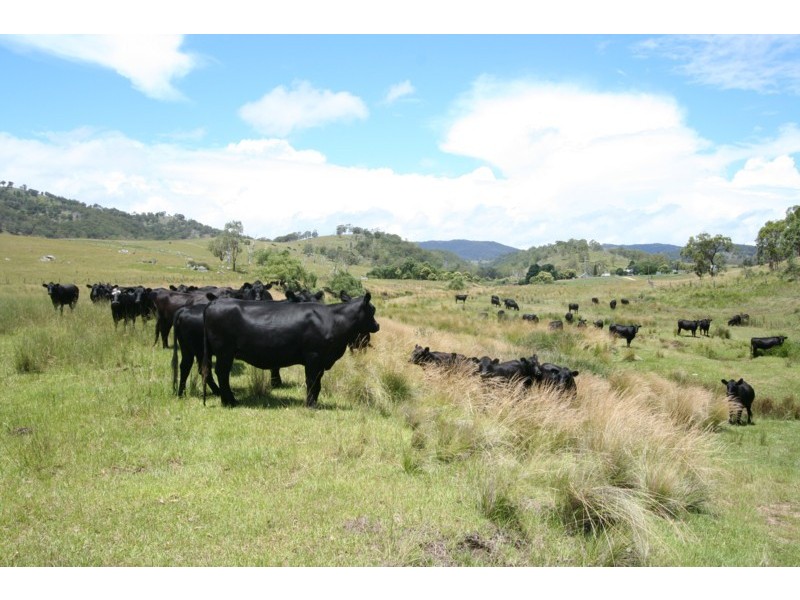 Tenterfield NSW 2372