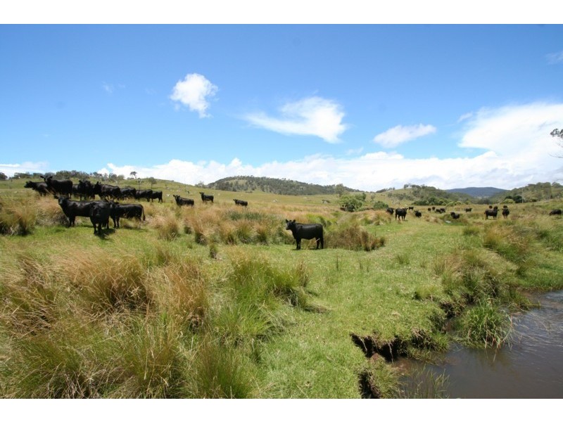 Tenterfield NSW 2372