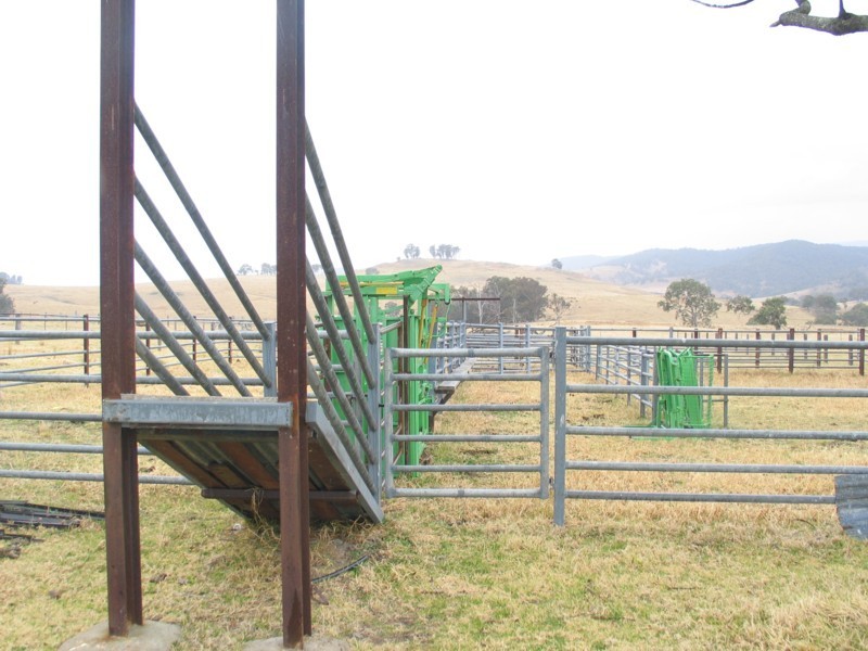 Tenterfield NSW 2372