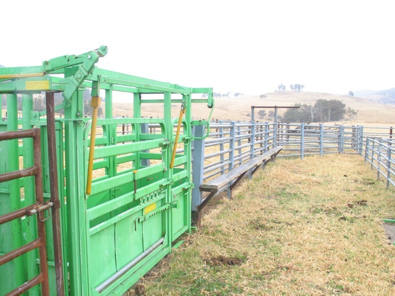 Tenterfield NSW 2372