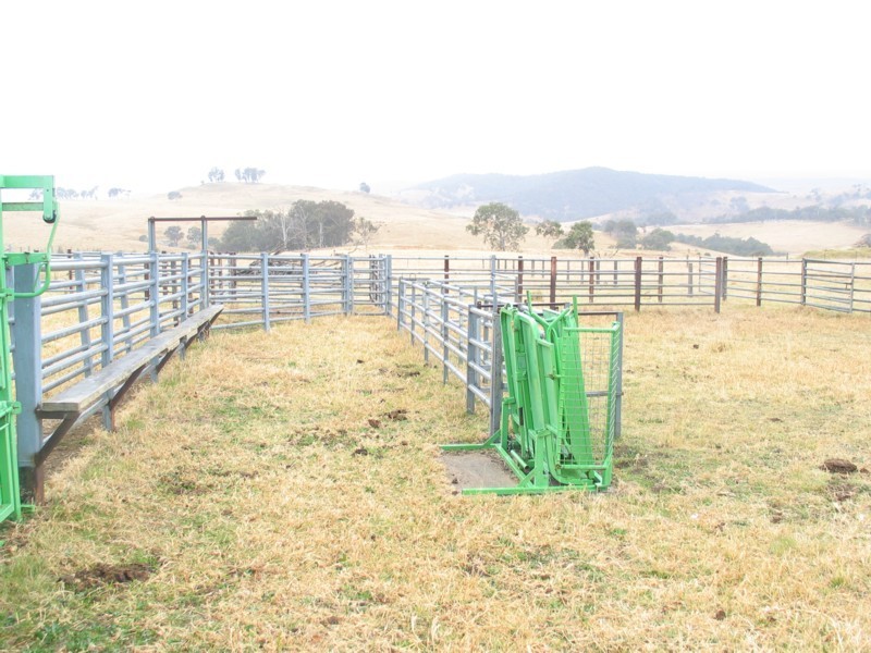 Tenterfield NSW 2372