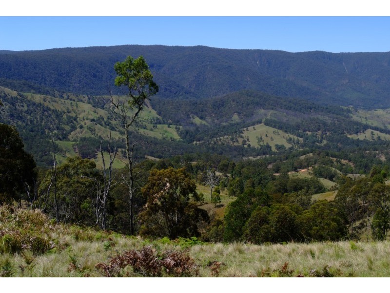 Tenterfield NSW 2372