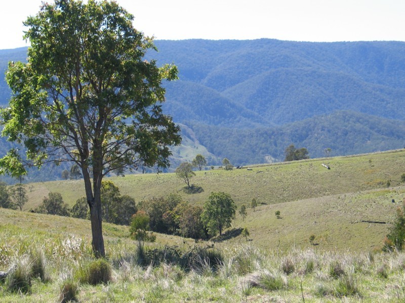 Tenterfield NSW 2372