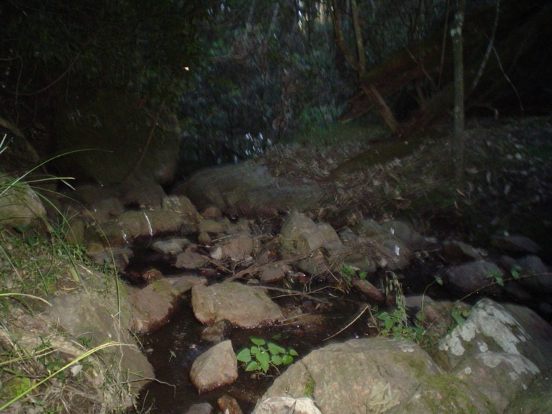 Tenterfield NSW 2372