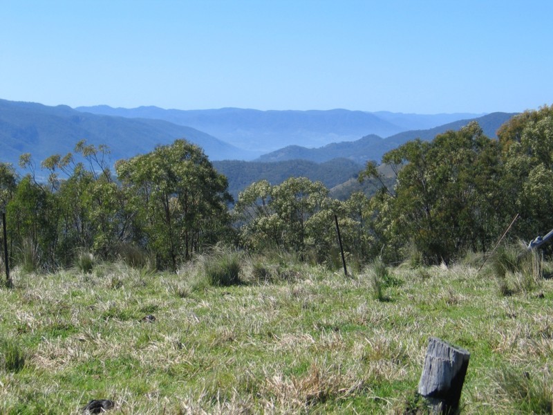 Tenterfield NSW 2372